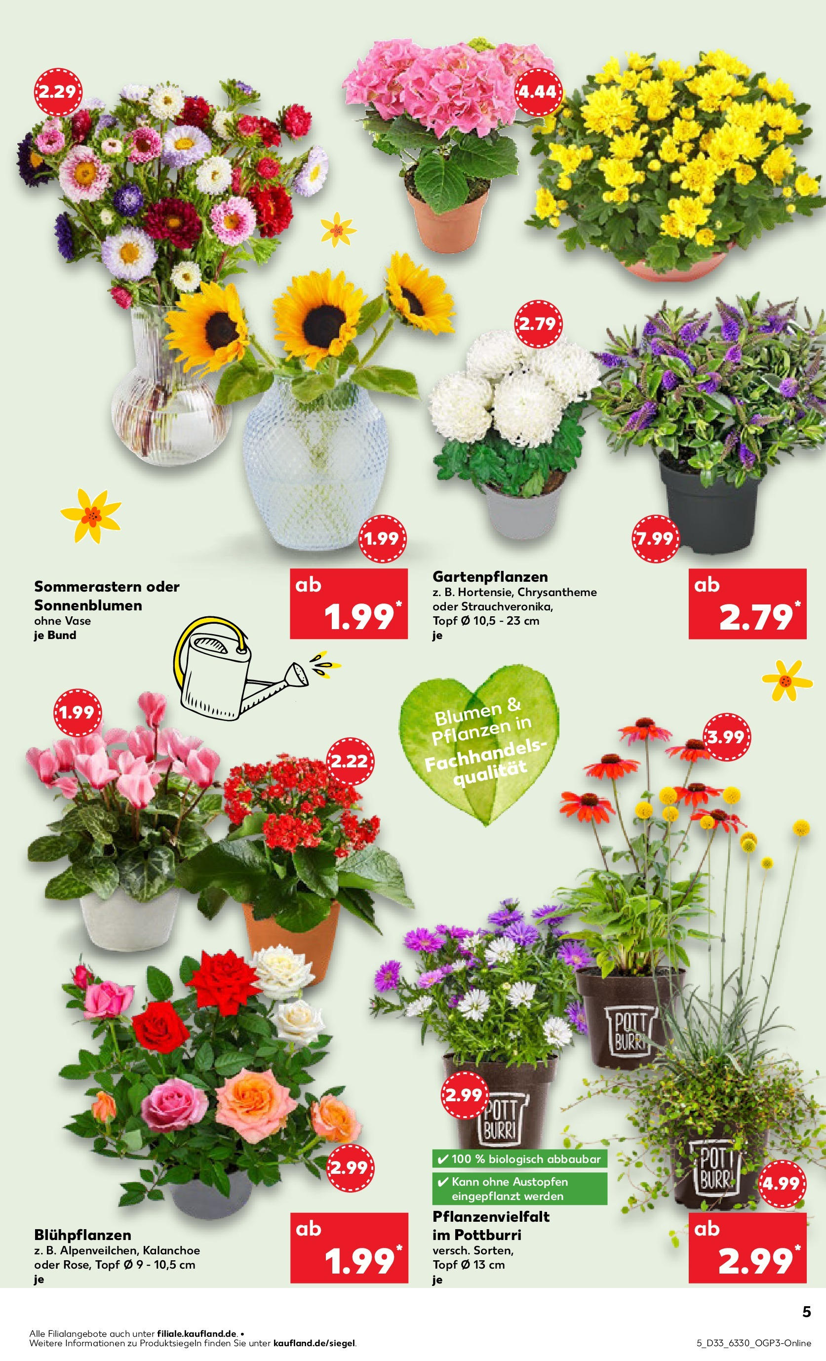 Prospekt Kaufland ab 14.08.2025 » Angebote und Werbung Online | Seite: 5 | Produkte: Blumen, Vase Prospekt Kaufland ab 14.08.2025 » Angebote Online zum Blättern | Seite: 5 | Produkte: Blumen, Vase