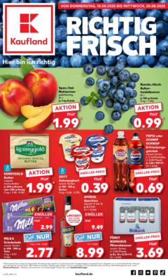 Kaufland prospekt Oststeinbek	 - gültig ab dem 14.08.2025 | Seite: 21