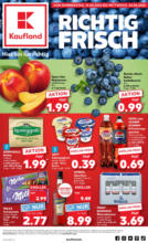 Kaufland Kaufland: Wochenangebote - bis 20.08.2025
