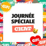 GiFi Une journée spéciale pour lui - au 15.08.2025
