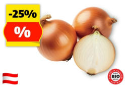 ZURÜCK ZUM URSPRUNG BIO-Zwiebeln gelb aus Österreich, 1 kg