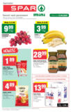 Aktualne promocje specjalne