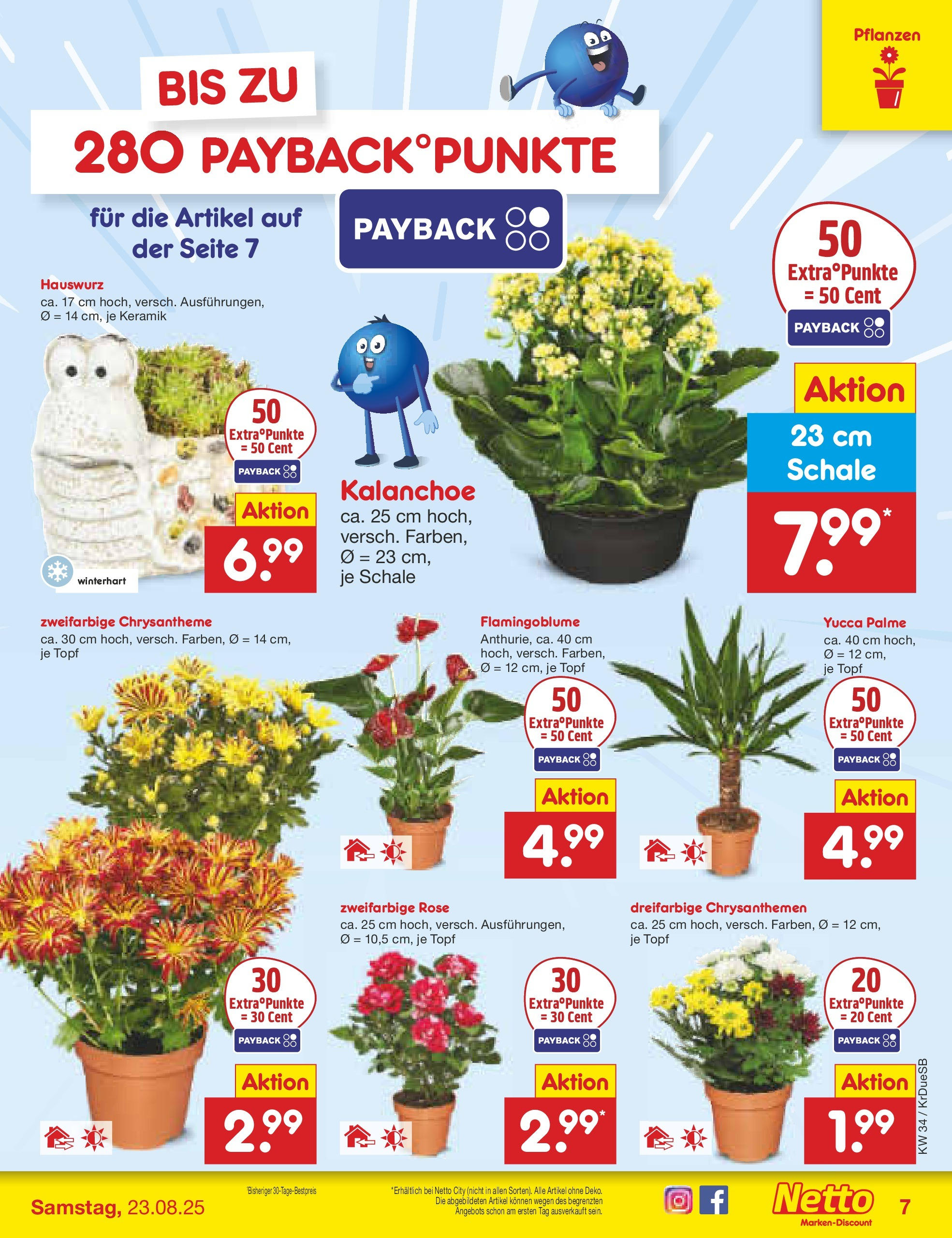 Netto Marken-Discount prospekt Düsseldorf-Rath	 (ab 18.08.2025) » Angebote | Seite: 7