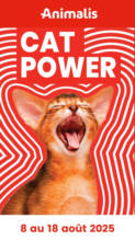 Cat power