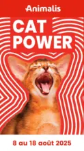 Cat power