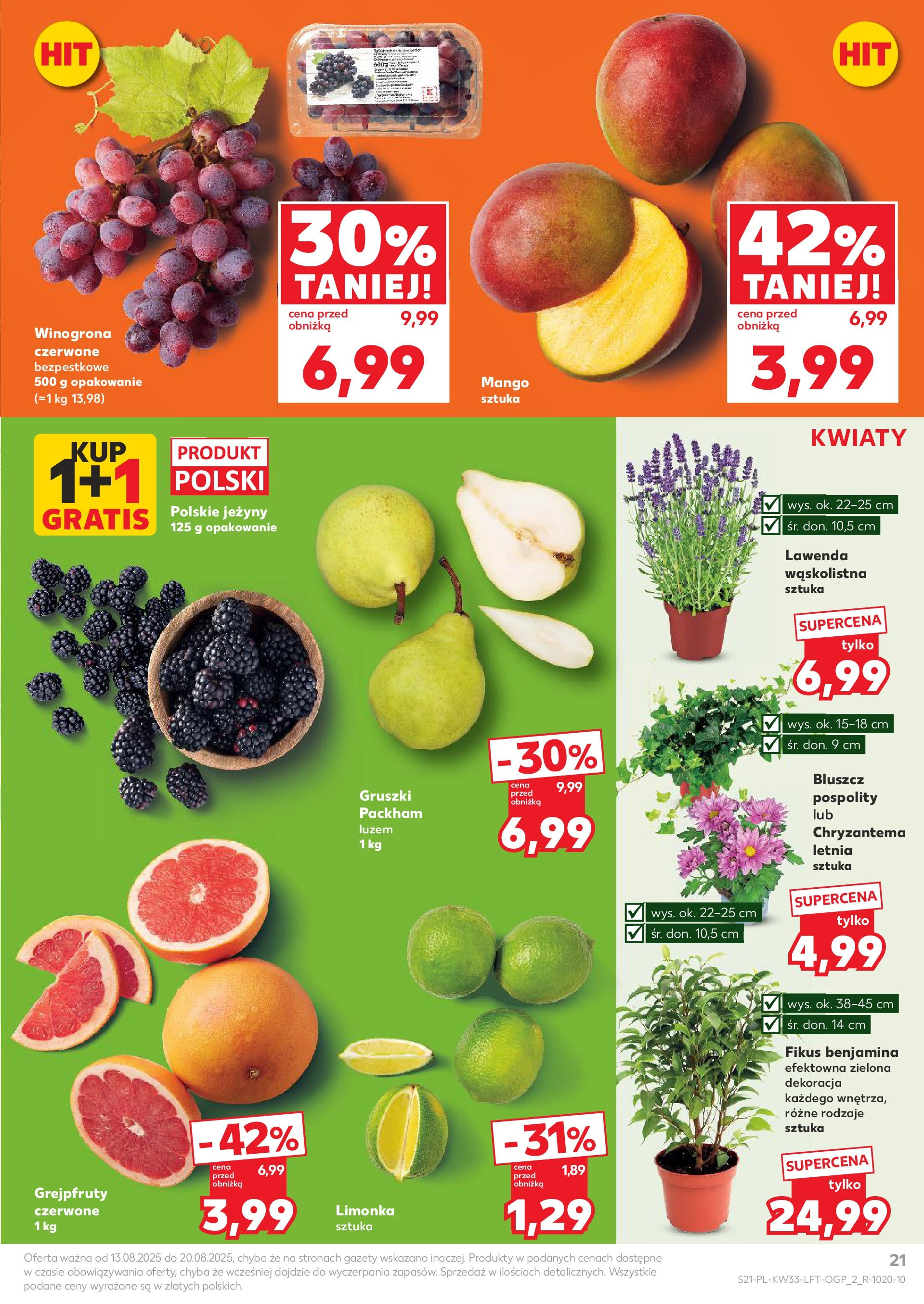Kaufland gazetka (13.08.2025) - od jutra | Strona: 21 | Produkty: Mango, Limonka, Winogrona, Jeżyny Kaufland gazetka od 13.08.2025 - od jutra PDF | Strona: 21 | Produkty: Mango, Limonka, Winogrona, Jeżyny