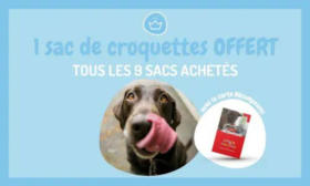 9 sacs de croquettes ou de litière achetés, le 10ème offert