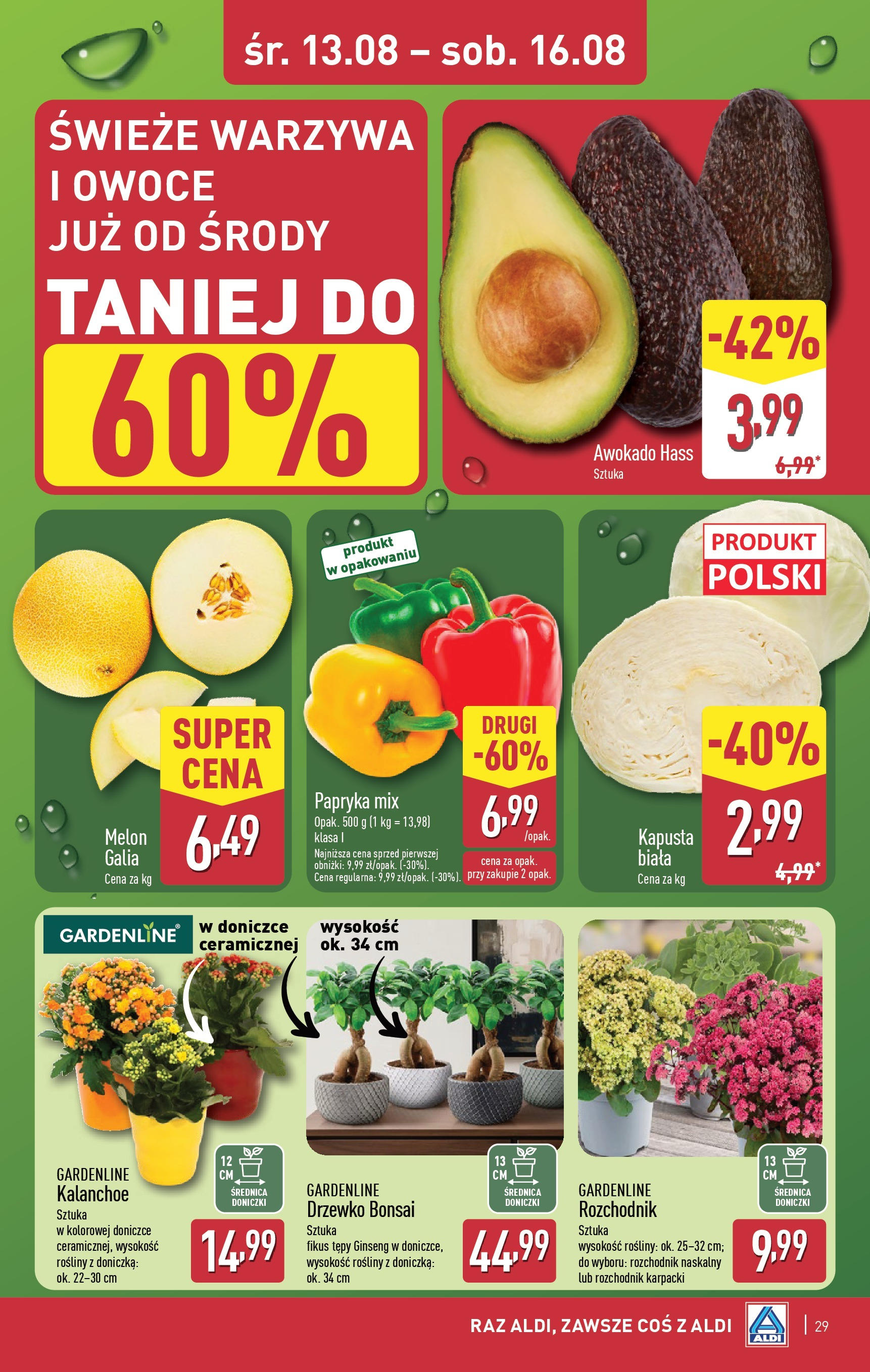 Aldi Gazetka od 11.08.2025 - Ulotka PDF, promocje | Strona: 29 | Produkty: Melon, Doniczki, Kalanchoe, Warzywa