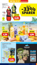 HOFER HOFER: Flugblatt - ab 15.08.2025