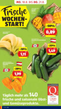 HOFER HOFER: Flugblatt - ab 15.08.2025