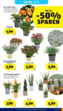 HOFER HOFER: Flugblatt - ab 15.08.2025