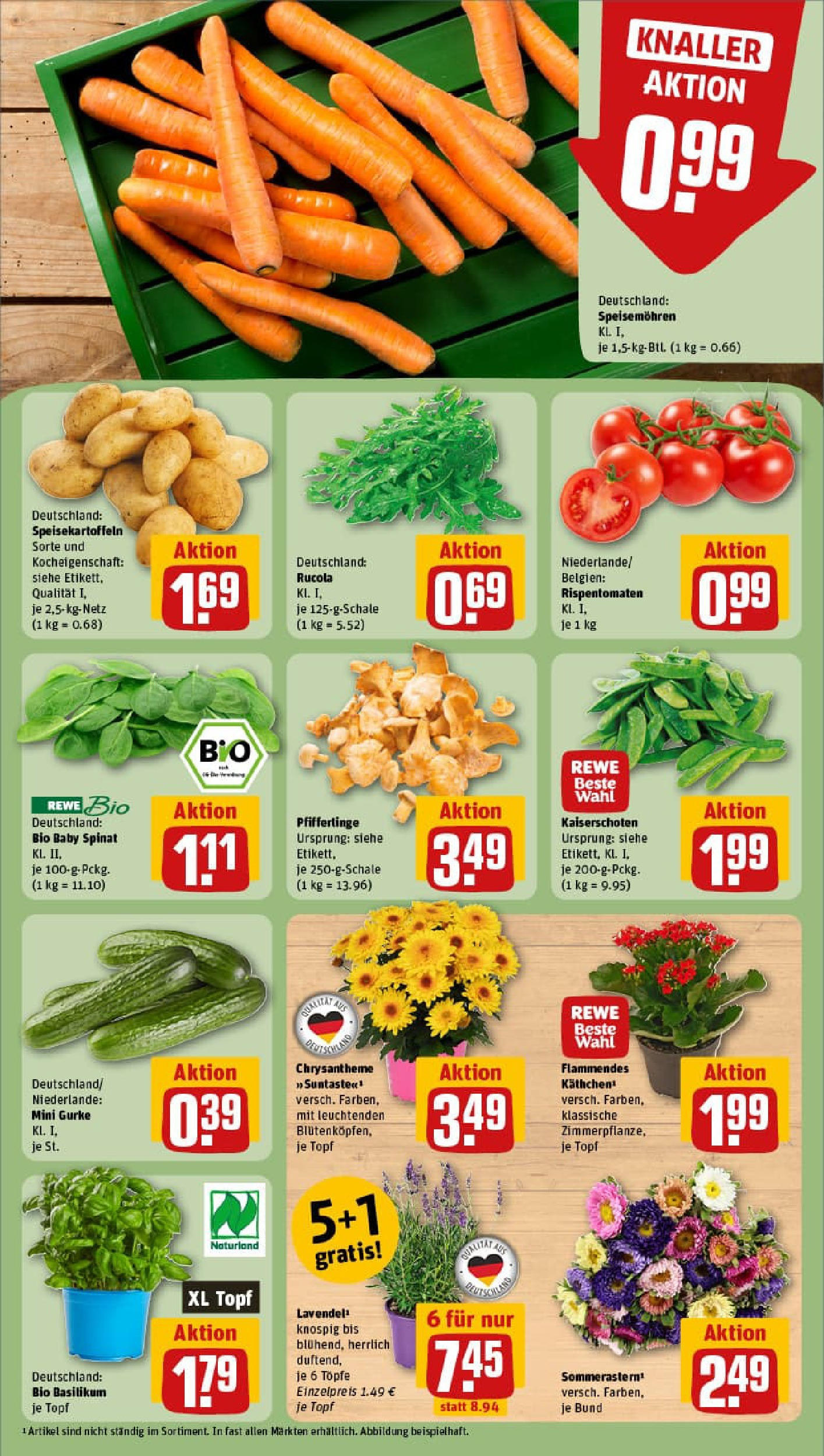 REWE Prospekt ab 17.08.2025 zum Blättern » Angebote | Seite: 7 | Produkte: Rucola, Pfifferlinge, Lavendel REWE Prospekt ab 17.08.2025 zum Blättern » Angebote | Seite: 7 | Produkte: Rucola, Pfifferlinge, Lavendel