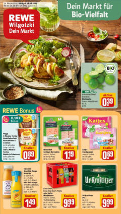 Rewe prospekt Magdeburg	 gültig ab dem 17.08.2025