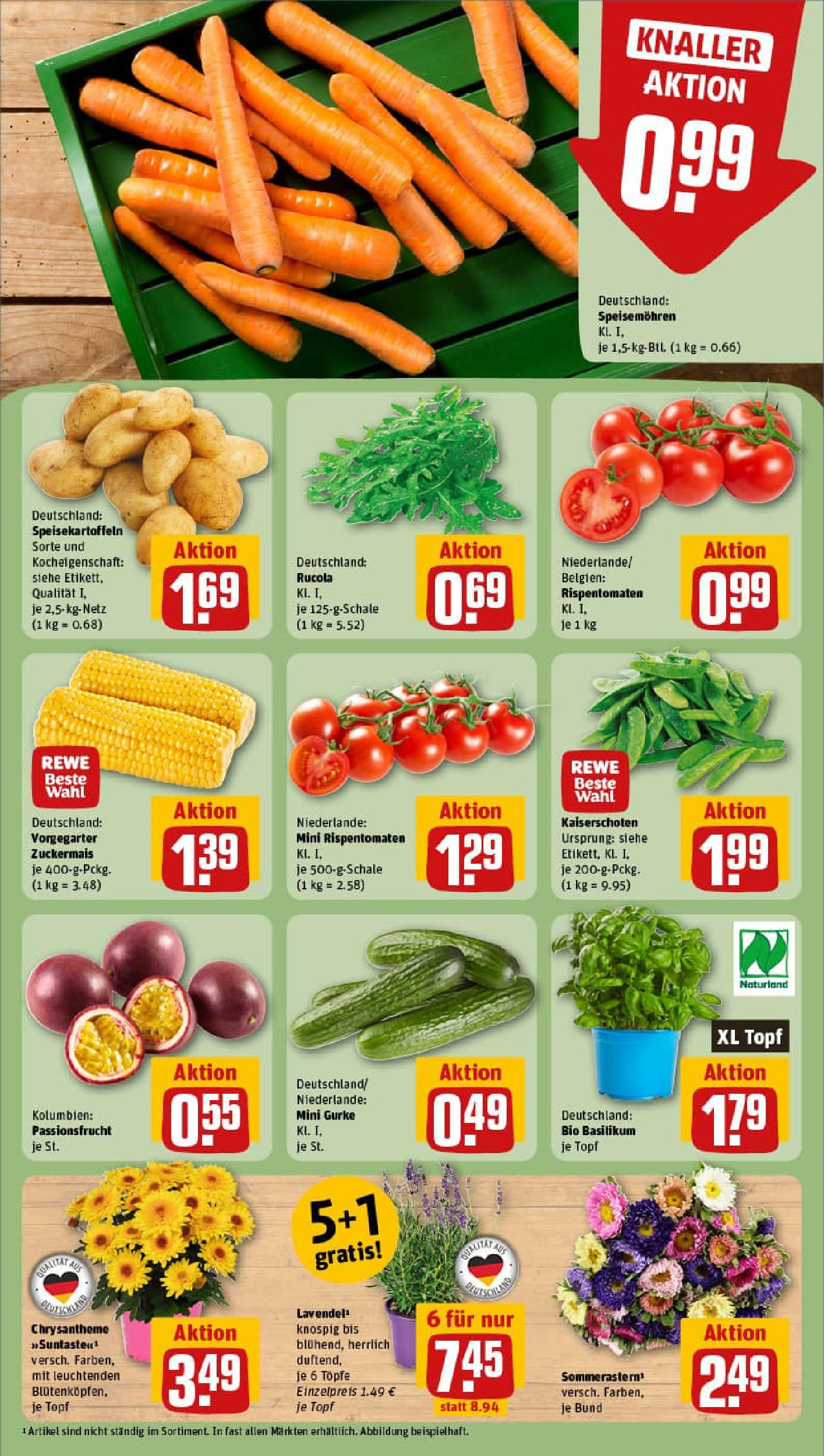 REWE Prospekt ab 17.08.2025 zum Blättern » Angebote | Seite: 7 | Produkte: Rucola, Lavendel