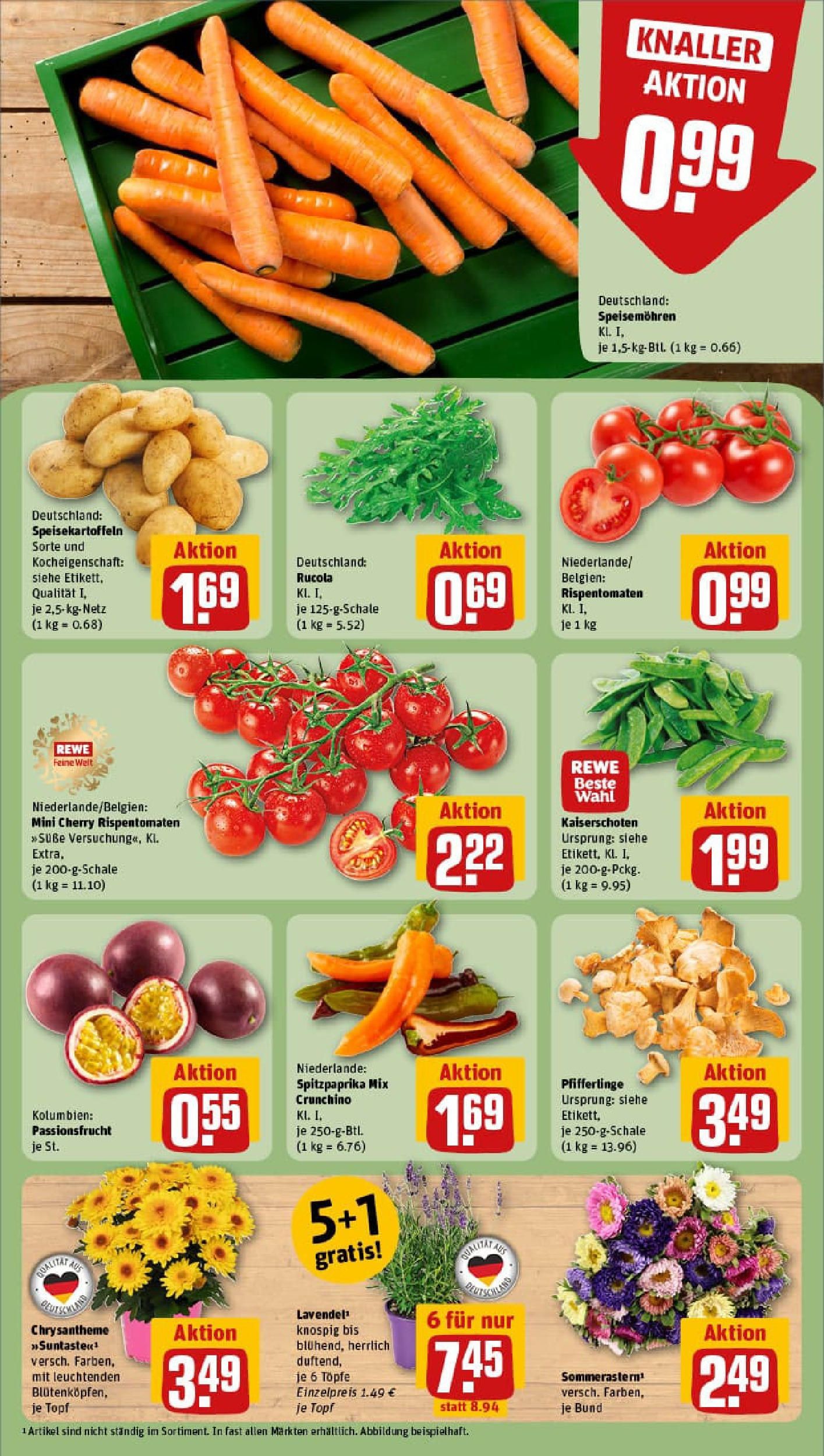 REWE Prospekt ab 17.08.2025 zum Blättern » Angebote | Seite: 7 | Produkte: Rucola, Pfifferlinge, Lavendel