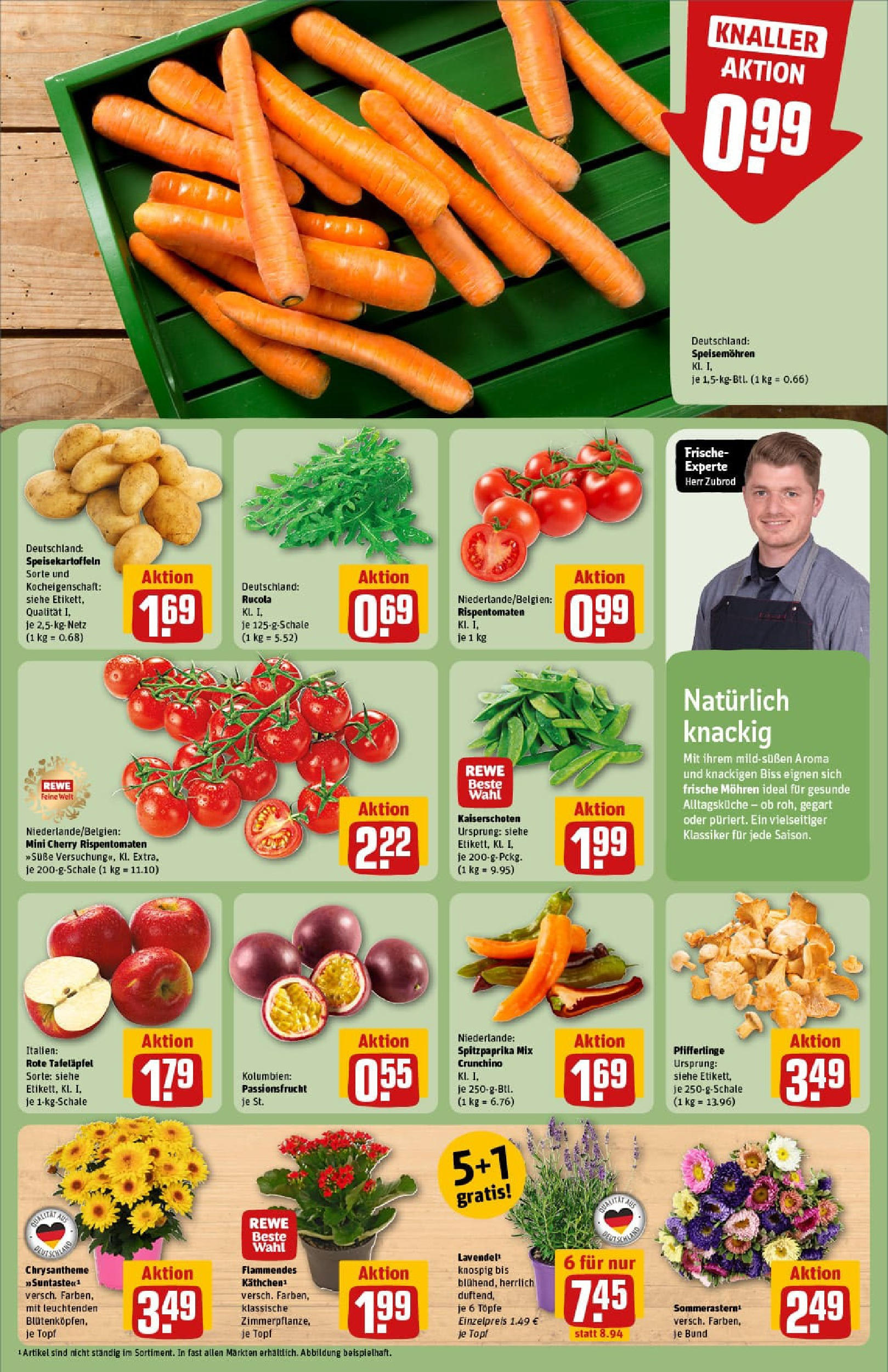 REWE Prospekt ab 17.08.2025 zum Blättern » Angebote | Seite: 7 | Produkte: Rucola, Mohren, Pfifferlinge, Lavendel