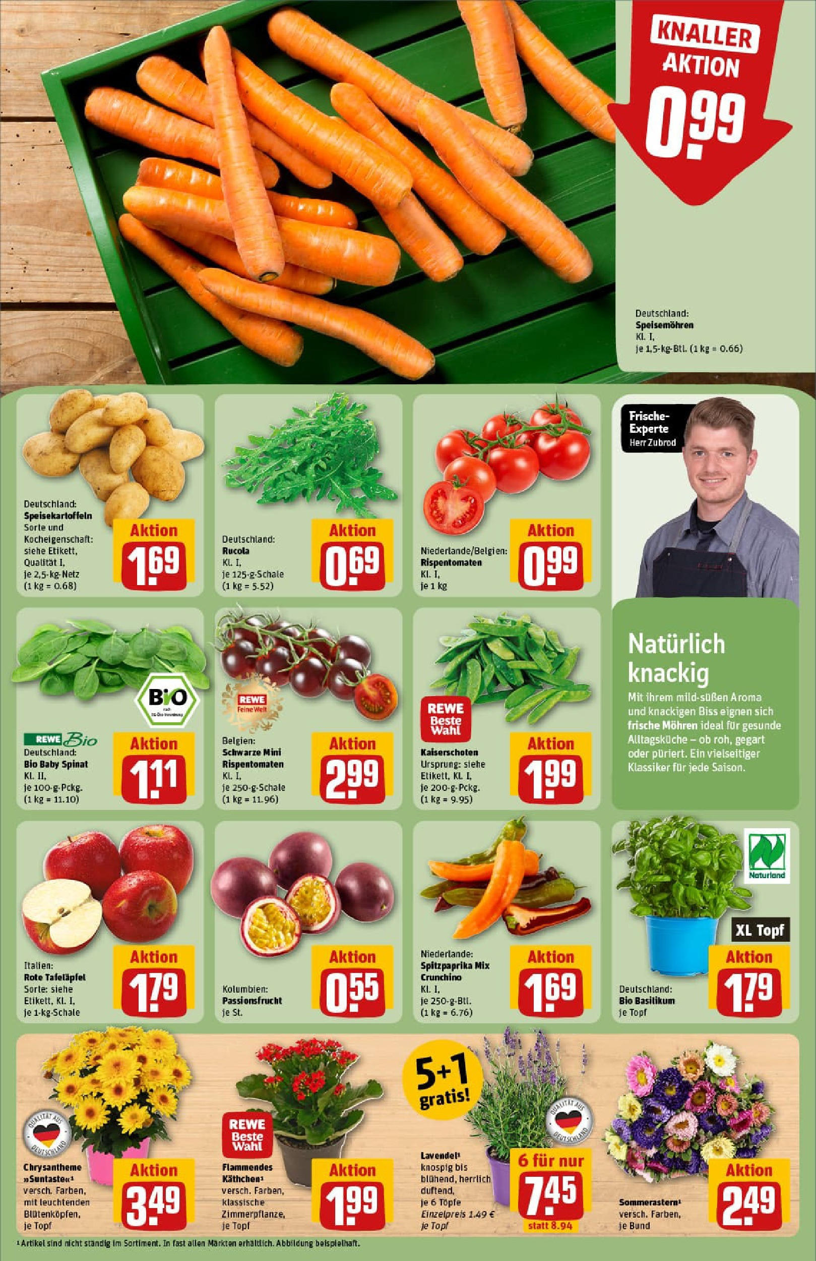 REWE Prospekt ab 17.08.2025 zum Blättern » Angebote | Seite: 7 | Produkte: Rucola, Mohren, Lavendel REWE Prospekt ab 17.08.2025 zum Blättern » Angebote | Seite: 7 | Produkte: Rucola, Mohren, Lavendel