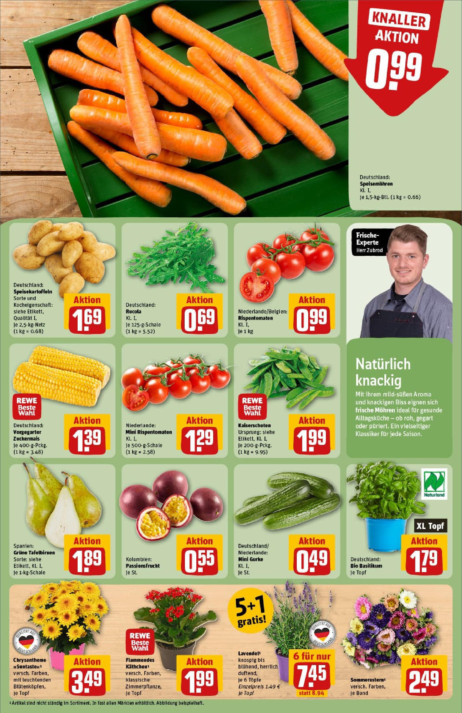 REWE Prospekt ab 17.08.2025 zum Blättern » Angebote | Seite: 7 | Produkte: Rucola, Mohren, Lavendel REWE Prospekt ab 17.08.2025 zum Blättern » Angebote | Seite: 7 | Produkte: Rucola, Mohren, Lavendel