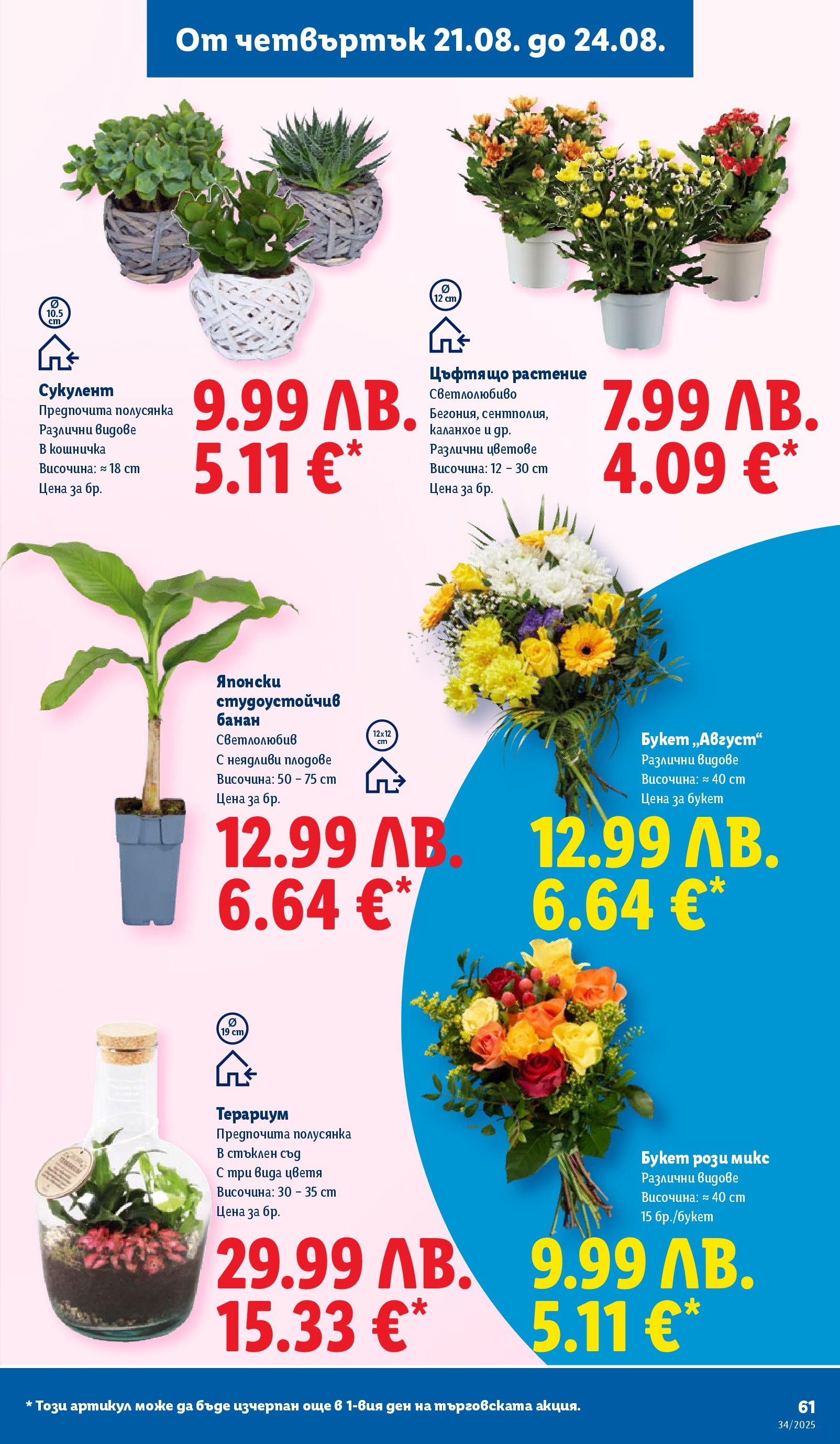 Cедмична брошура на Лидл от 18.08.2025 - LIDL broshura | Страница: 61 | Продукти: Плодове Cедмична брошура на Лидл от 18.08.2025 | Страница: 61 | Продукти: Плодове