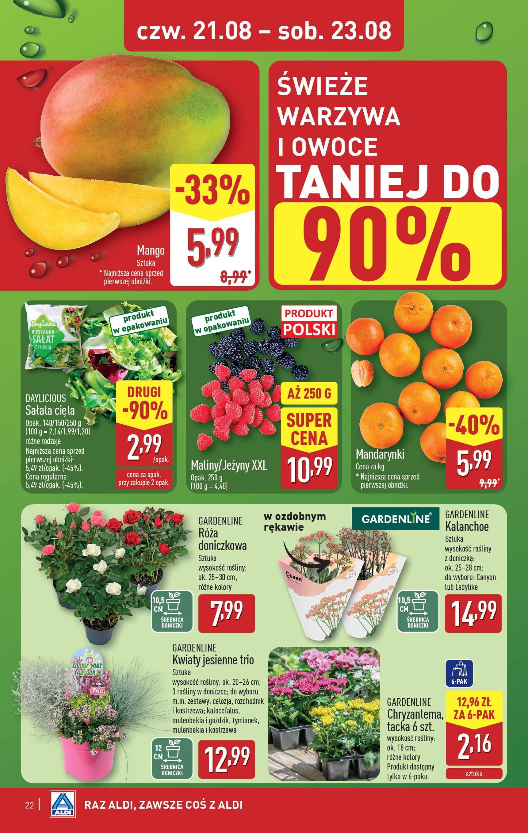 Aldi Gazetka od 18.08.2025 - Ulotka PDF, promocje | Strona: 22 | Produkty: Mango, Kalanchoe, Kwiaty, Owoce