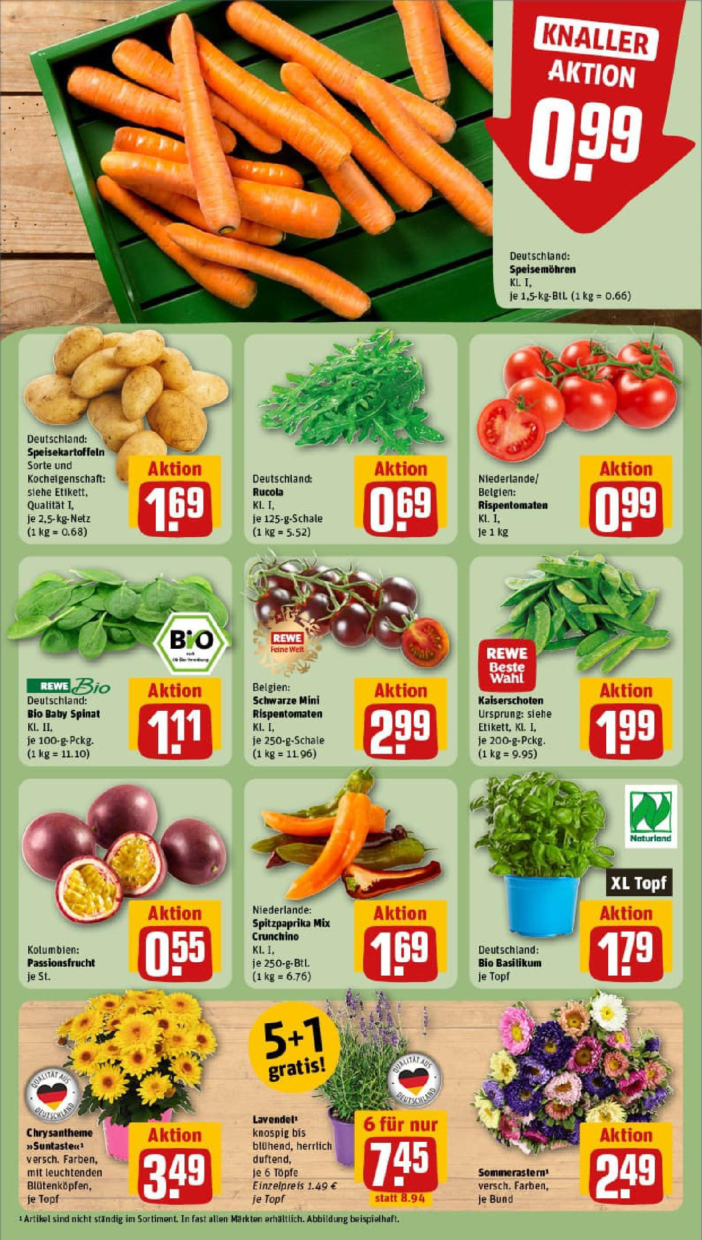 REWE Prospekt ab 17.08.2025 zum Blättern » Angebote | Seite: 7 | Produkte: Rucola, Lavendel