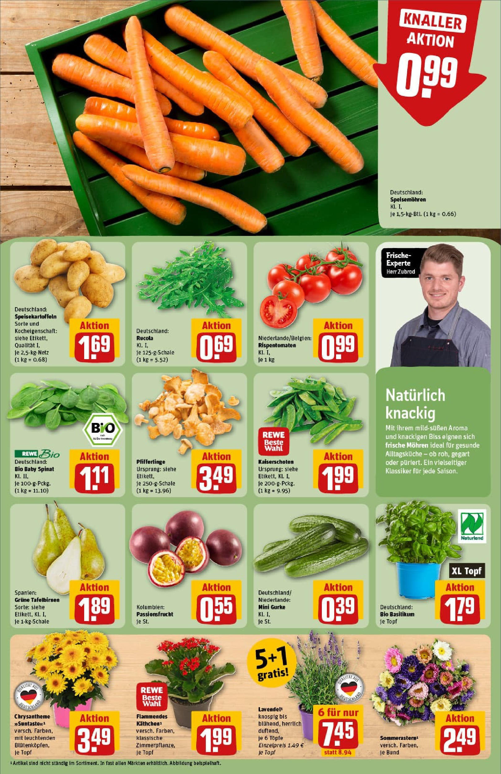 REWE Prospekt ab 17.08.2025 zum Blättern » Angebote | Seite: 7 | Produkte: Rucola, Mohren, Pfifferlinge, Lavendel