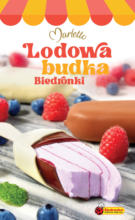 Aktualne promocje specjalne Biedronka – do 28.08.2025