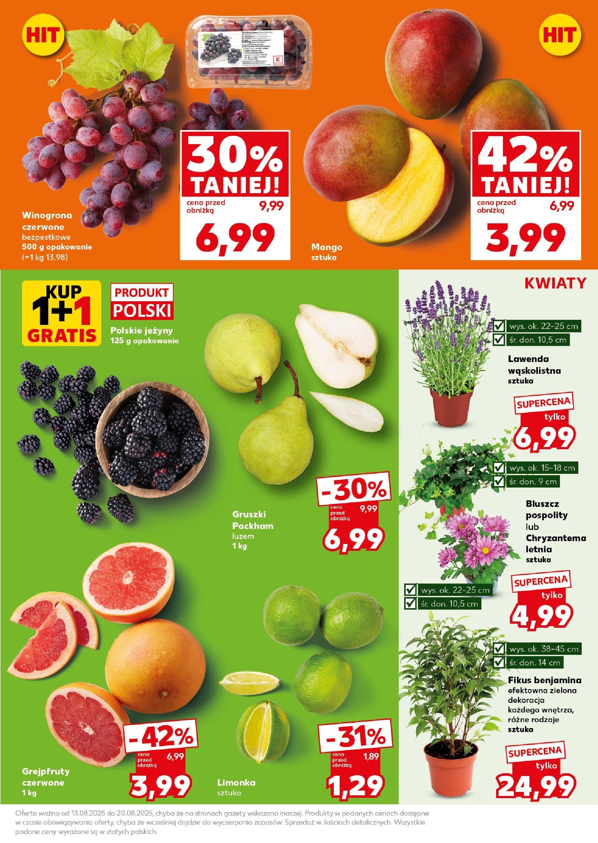 Kaufland gazetka - Super Sobota od 16.08.2025 - od jutra PDF | Strona: 13 | Produkty: Limonka, Winogrona, Jeżyny, Fikus