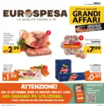 Eurospesa Grandi affari - al 27.08.2025