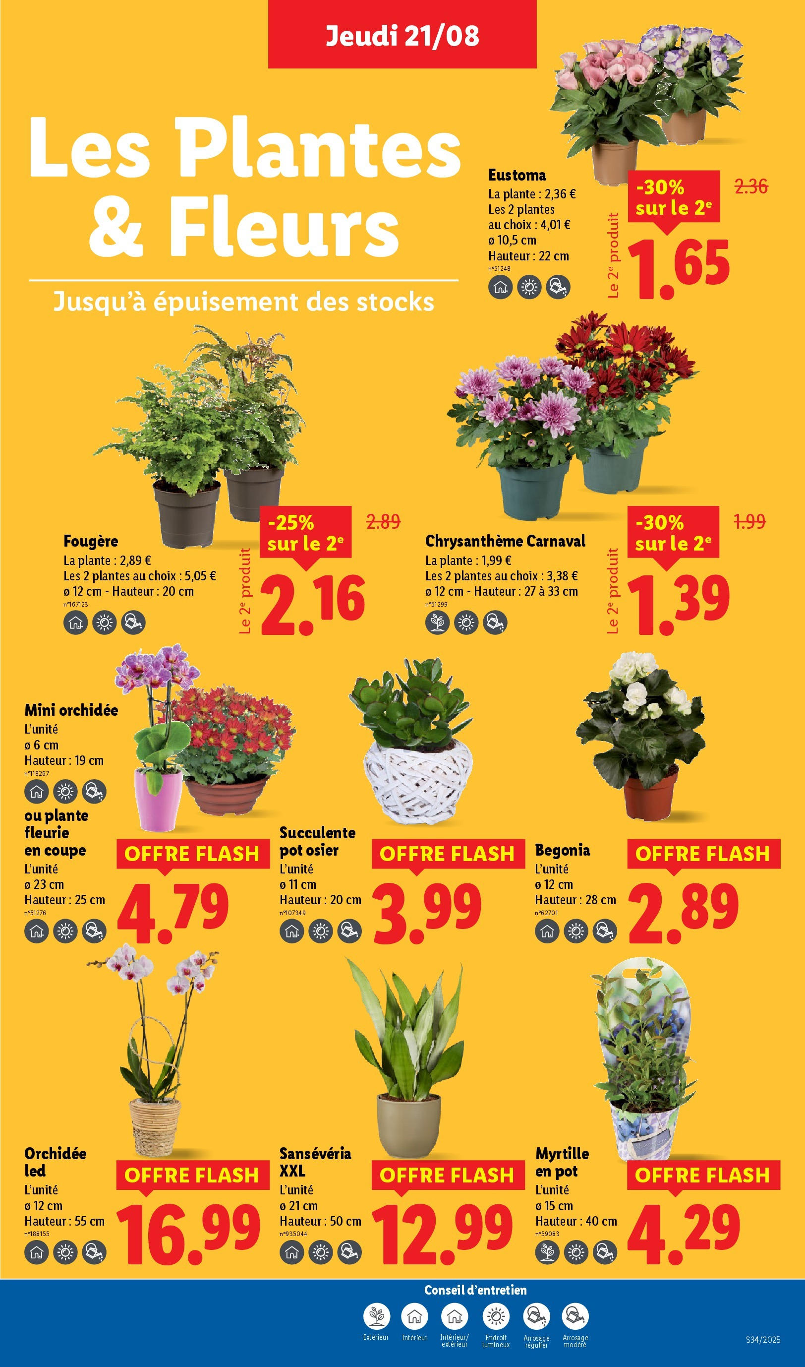 Catalogue LIDL du 20/08/2025 | Promo prospectus en ligne | Page: 27 | Produits: Plantes, Chrysanthème, Eustoma, Orchidée Catalogue LIDL du 20/08/2025 | Promo prospectus en ligne | Page: 27 | Produits: Plantes, Chrysanthème, Eustoma, Orchidée