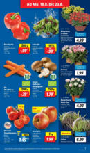 Lidl Lidl: Wochenangebote - ab 18.08.2025