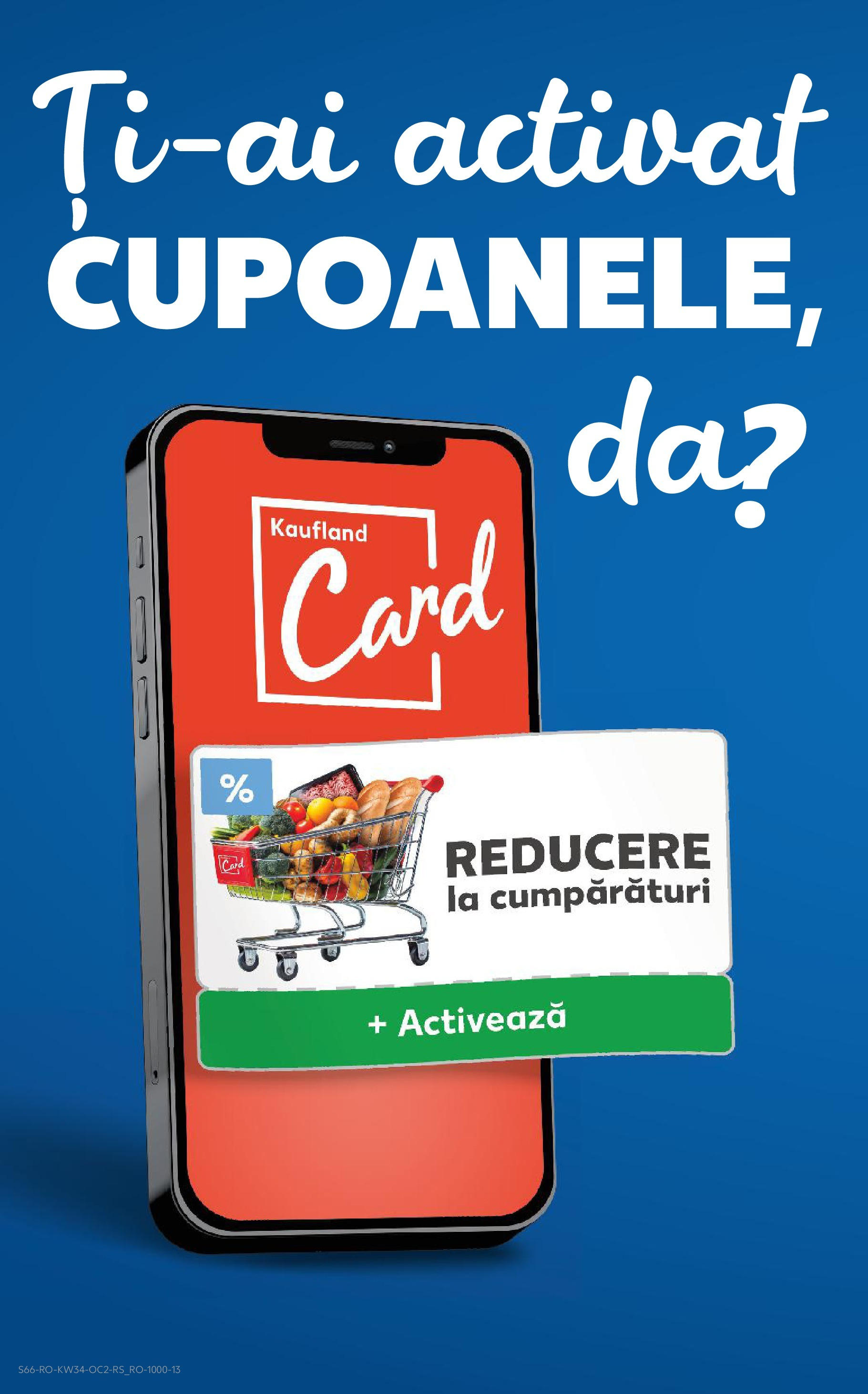 Catalog Kaufland - Deva 20.08.2025 - Revista si Oferta | Pagină: 66
