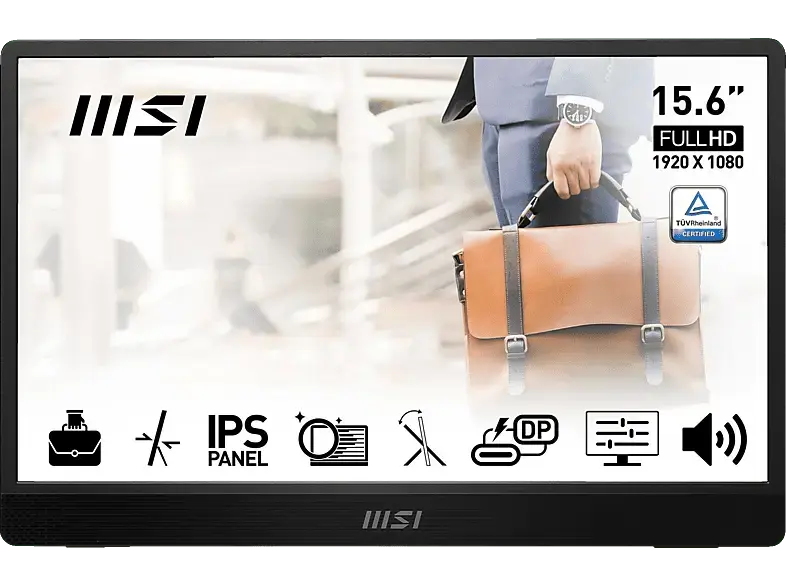 MSI pro MP161DE E2 15,6 Zoll Monitor, Full-HD, 4 ms Reaktionszeit, 250 cd/m², 60 Hz, Iron Gray