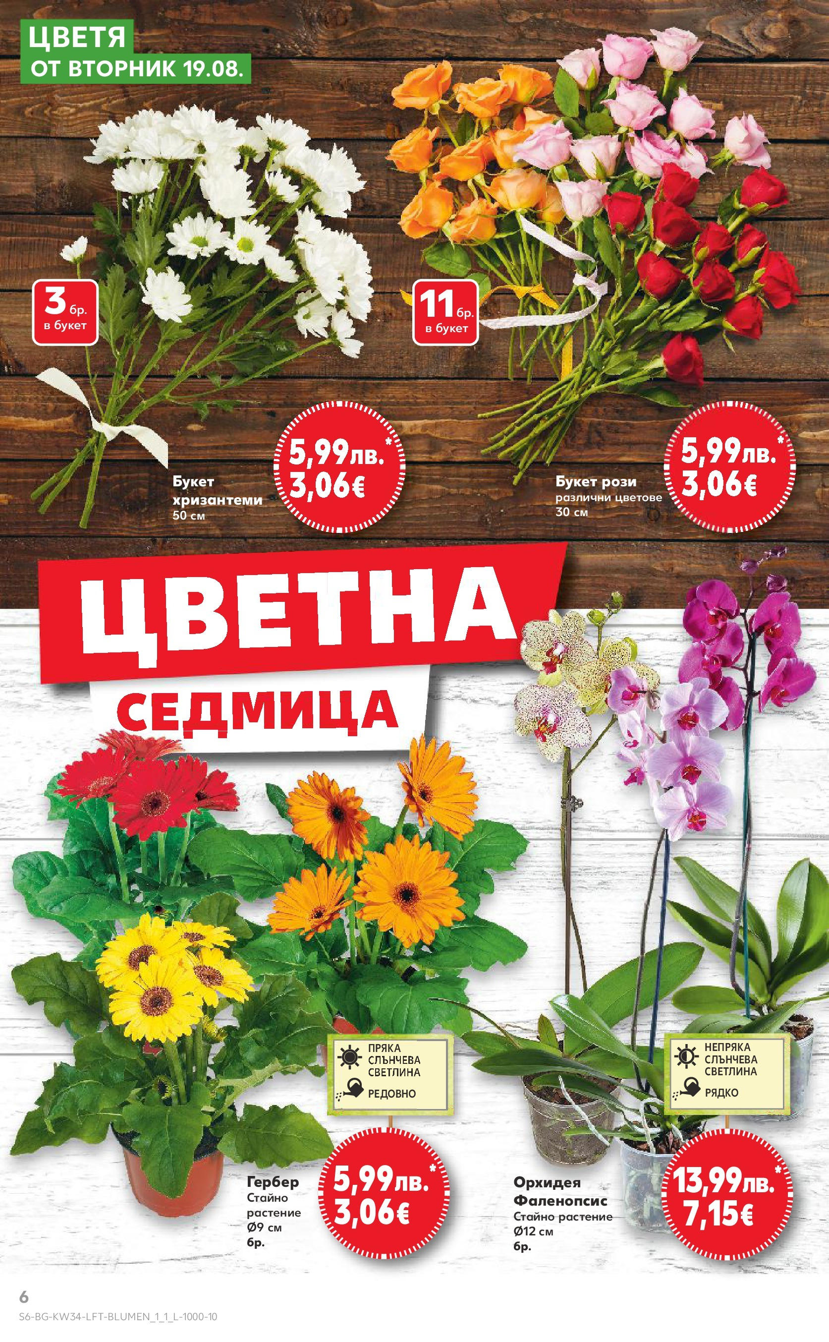 Нова Кауфланд - Спестявай с мега марки в Kaufland предложения с валидност до 24.08.2025 от 17.08.2025 | Страница: 6 | Продукти: Орхидея