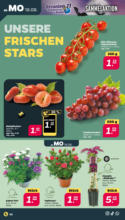 Netto APS : Wochenangebote