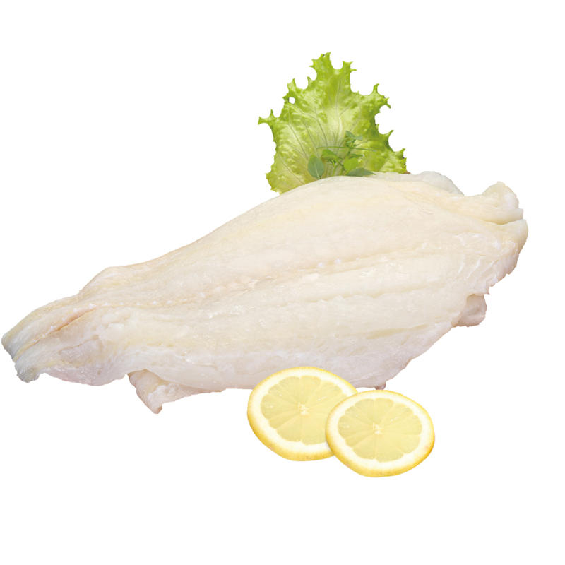 Lengfilet (Molva molva) , aufgetaut
