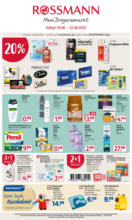 Rossmann: Angebotsprospekt