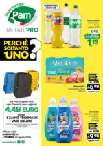 Pam RetailPro Offerte - al 22.08.2025