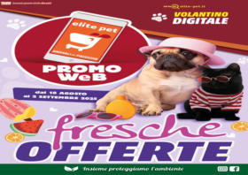 Fresche offerte