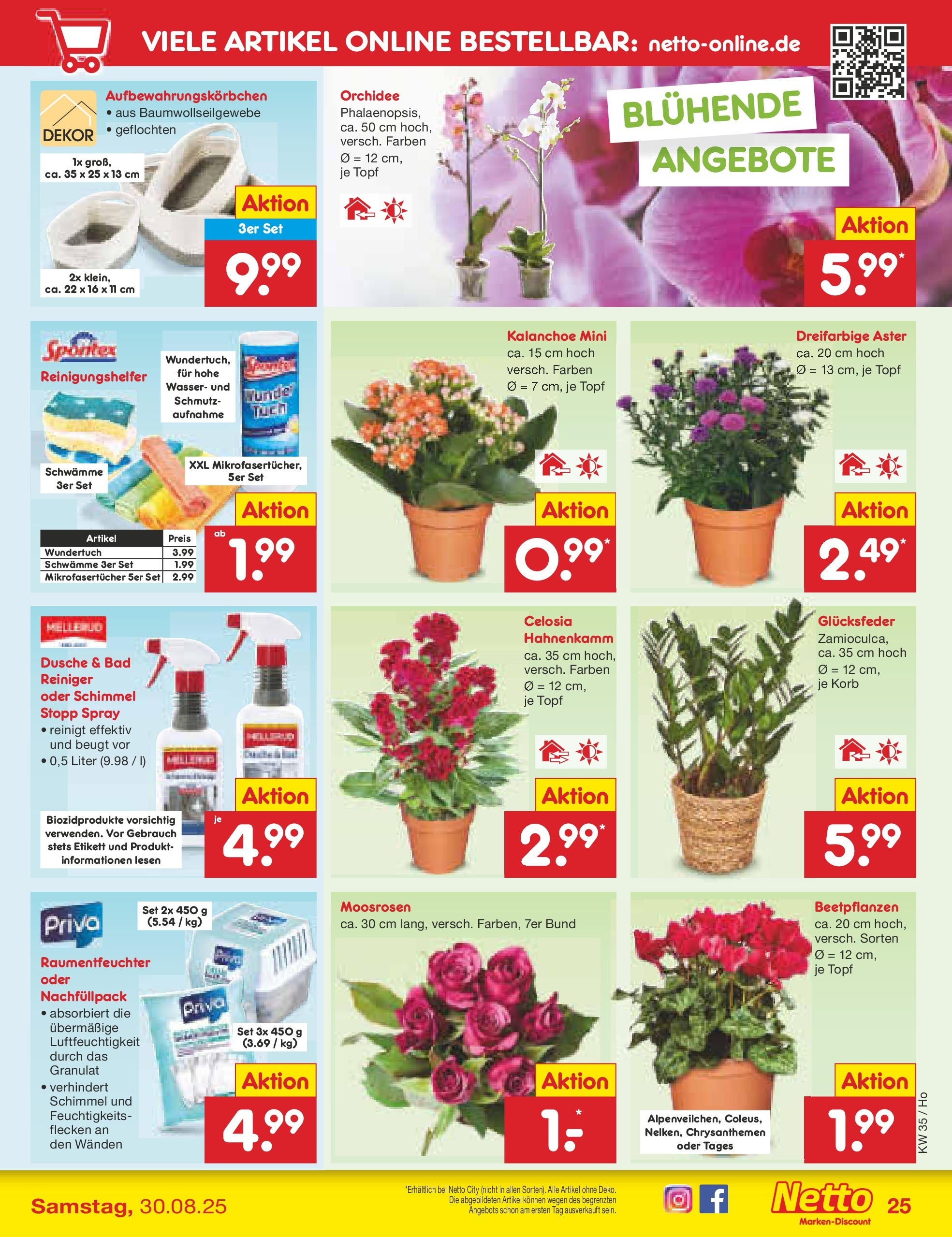 Netto Marken-Discount prospekt Wolfenbüttel	 (ab 24.08.2025) » Angebote | Seite: 37 | Produkte: Orchidee, Bad, Dusche, Korb