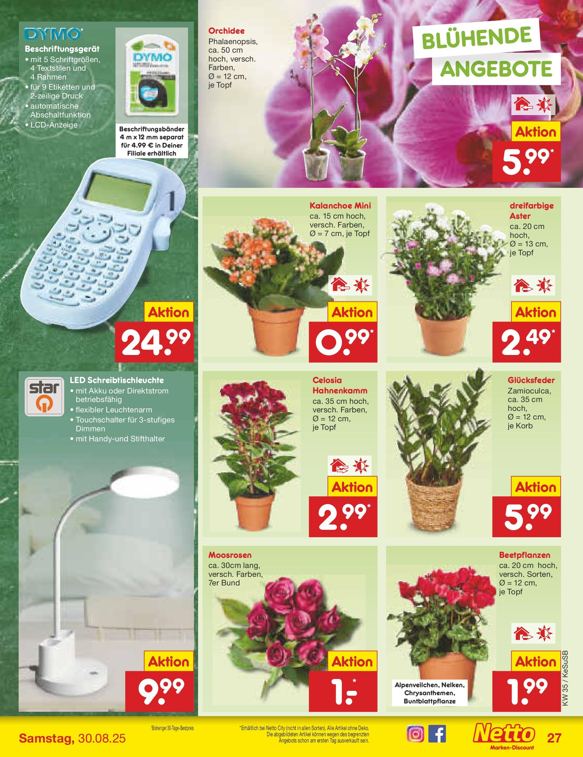 Netto Marken-Discount prospekt Kruft	 (ab 24.08.2025) » Angebote | Seite: 39 | Produkte: Orchidee, Korb