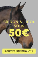 Final Summer Sale - Tout doit disparaître !