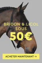 Horze Final Summer Sale - Tout doit disparaître ! - au 21.09.2025