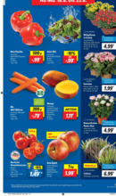 Lidl Lidl: Wochenangebote - bis 23.08.2025