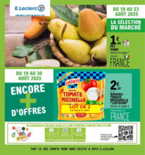 TRAFIC POUVOIR ACHAT 11 - MIXTE