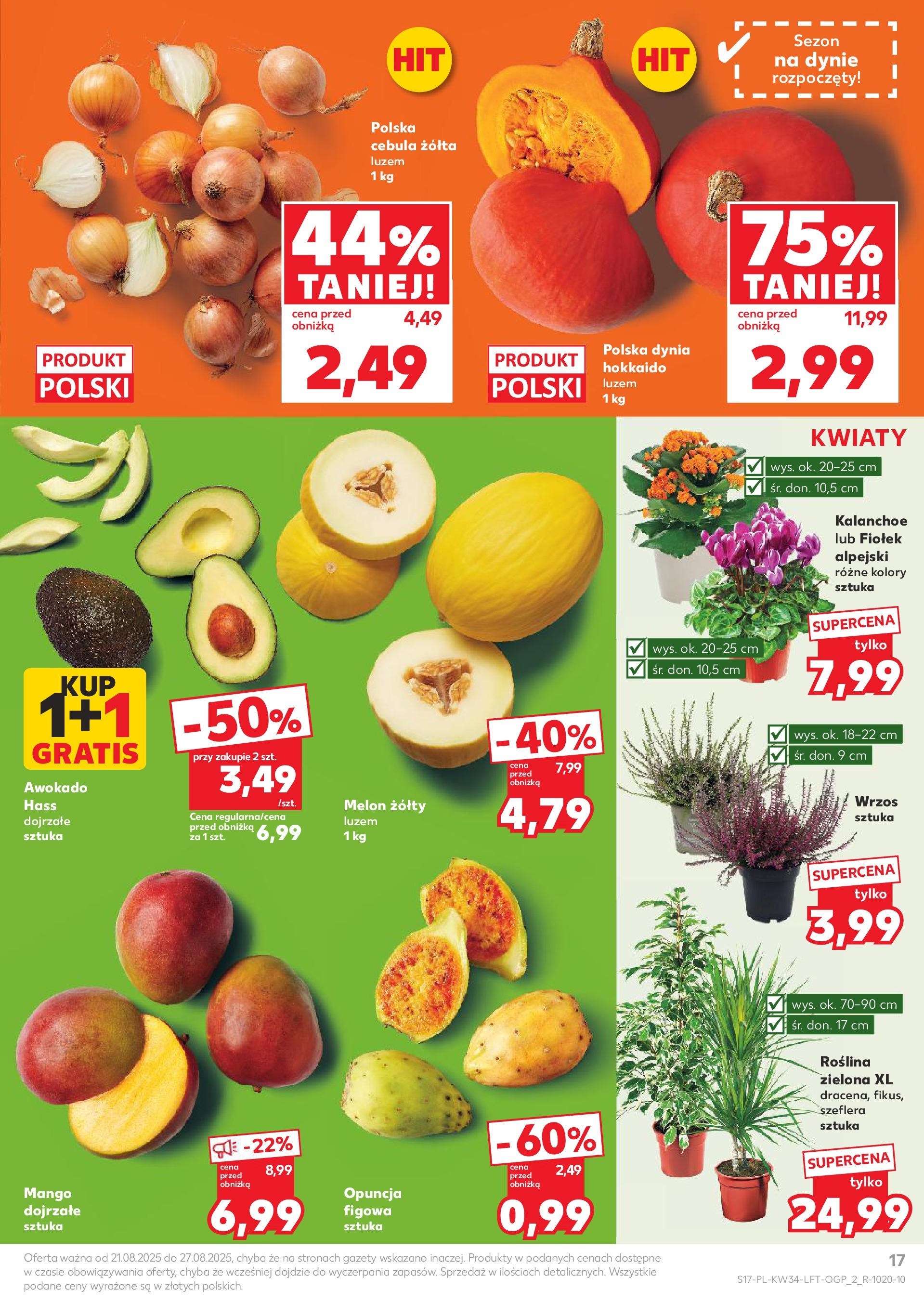 Kaufland gazetka od 21.08.2025 - od jutra PDF | Strona: 17 | Produkty: Mango, Dynia, Kalanchoe, Kwiaty