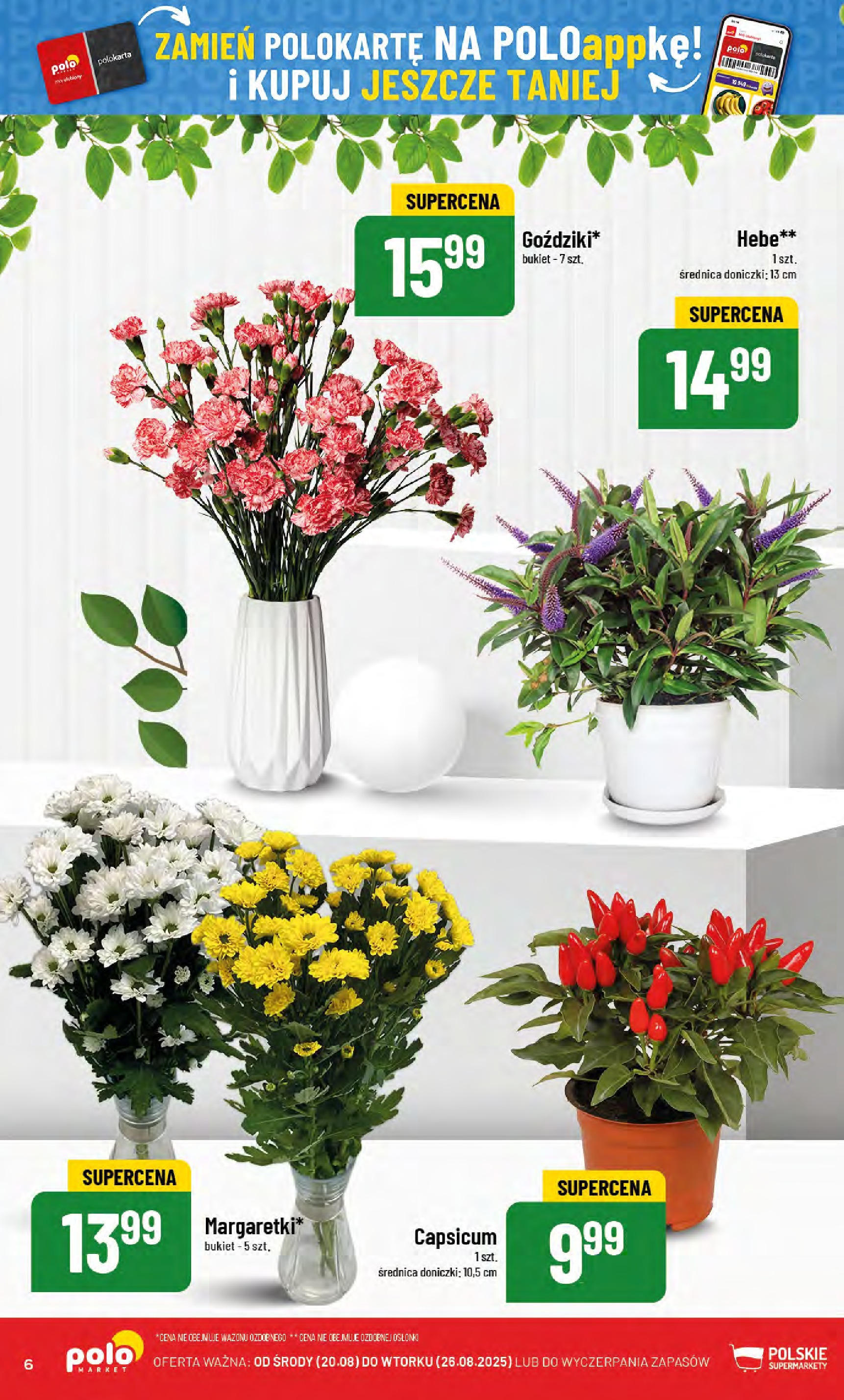POLOmarket gazetka od jutra (20.08.2025) - Nowa PDF | Strona: 6 | Produkty: Doniczki