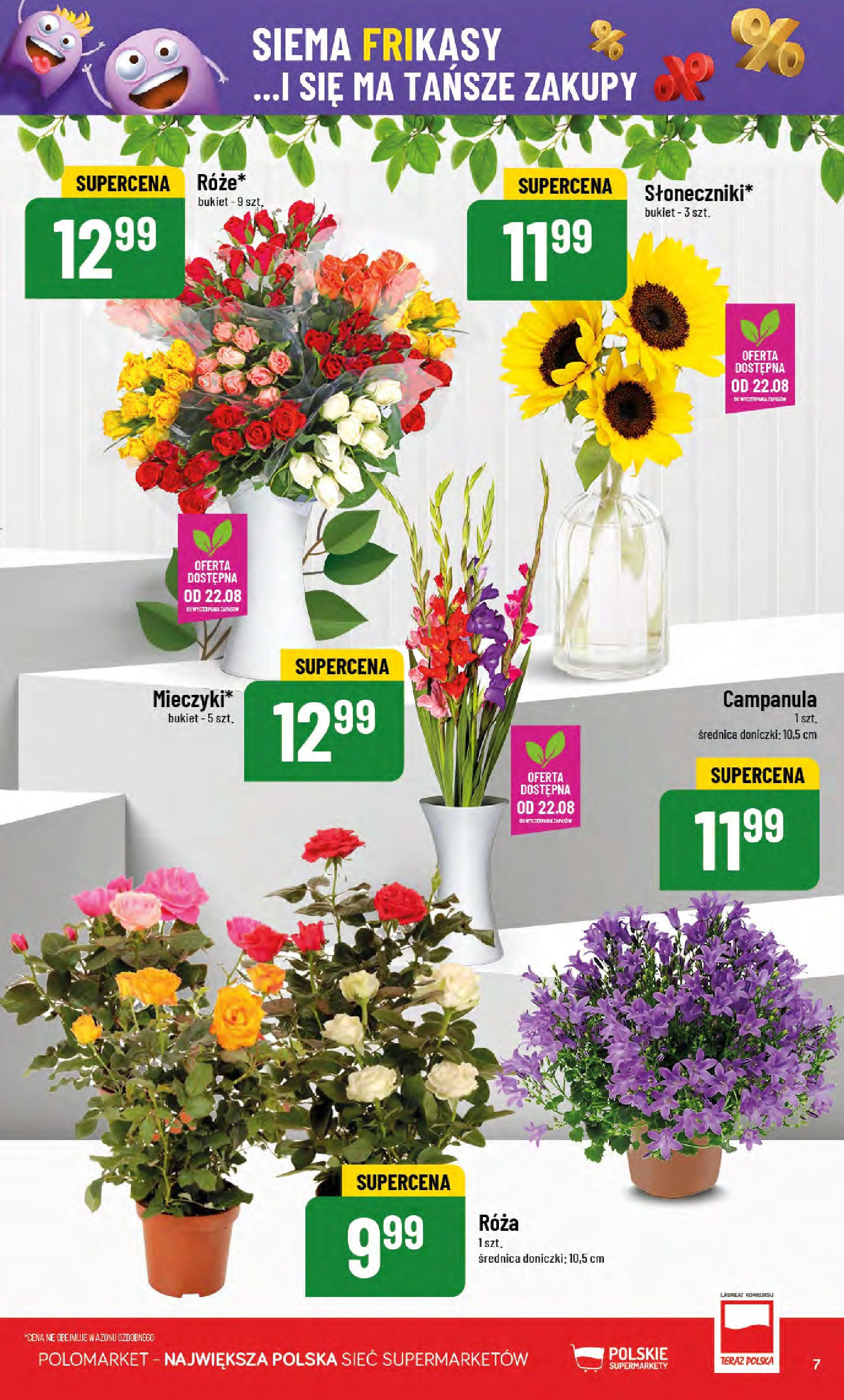 POLOmarket gazetka od jutra (20.08.2025) - Nowa PDF | Strona: 7 | Produkty: Doniczki