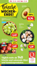 HOFER HOFER: Flugblatt - ab 22.08.2025