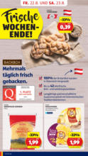 HOFER HOFER: Flugblatt - ab 22.08.2025